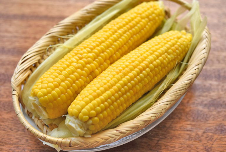 とうもろこしの賞味期限と最適な保存方法を現役農家が解説 かまくら農園