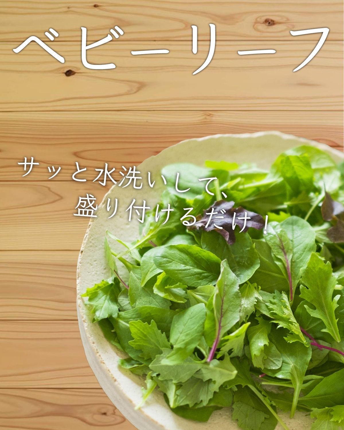 ベビーリーフの通販