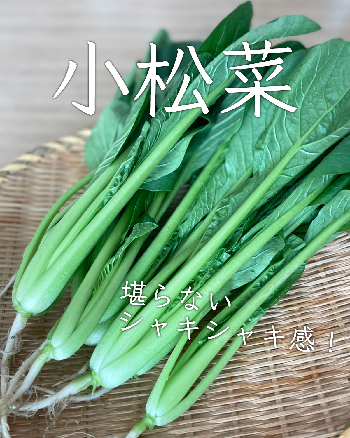 小松菜の産直通販