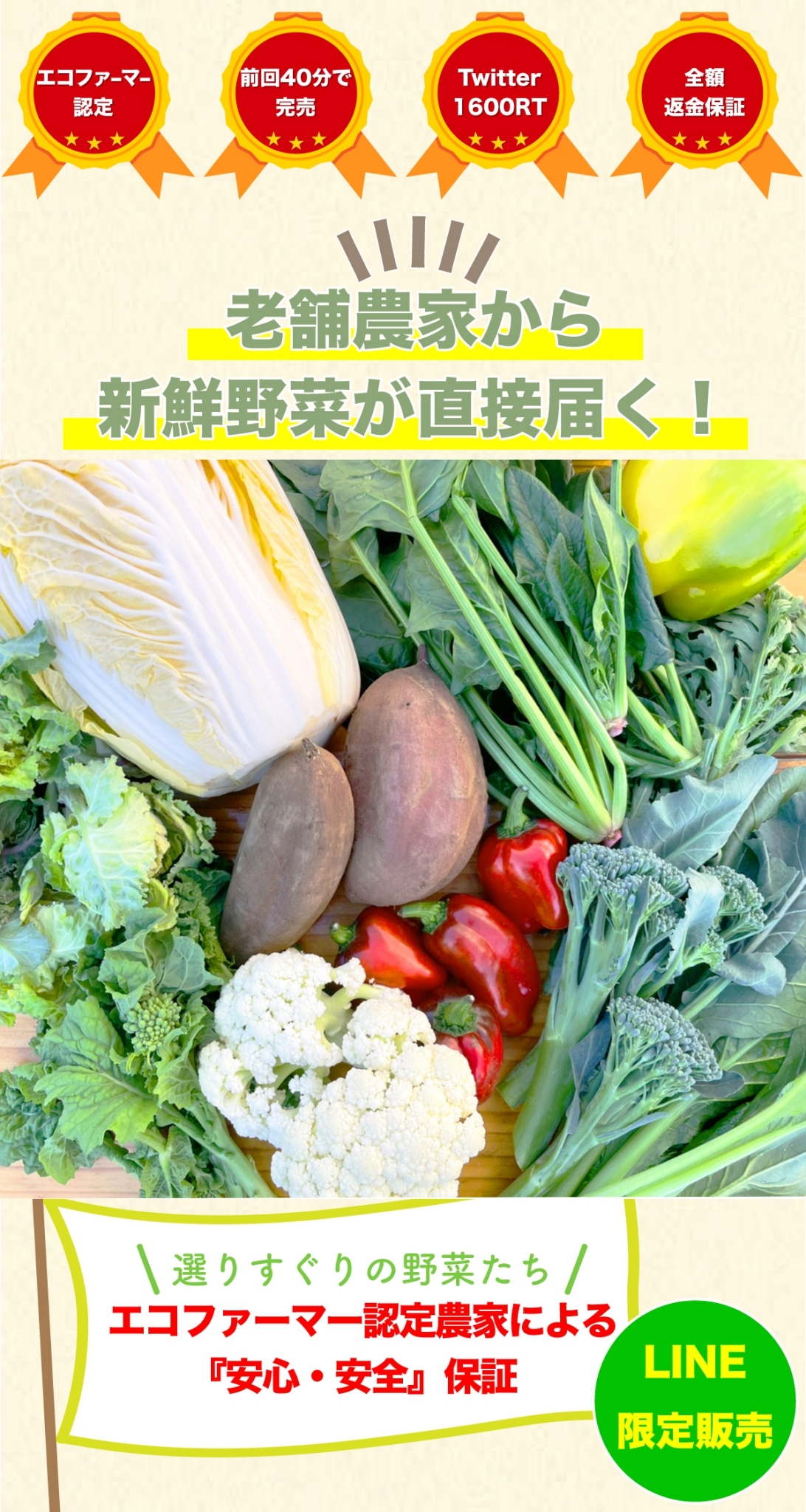 千葉県農家直送の野菜通販