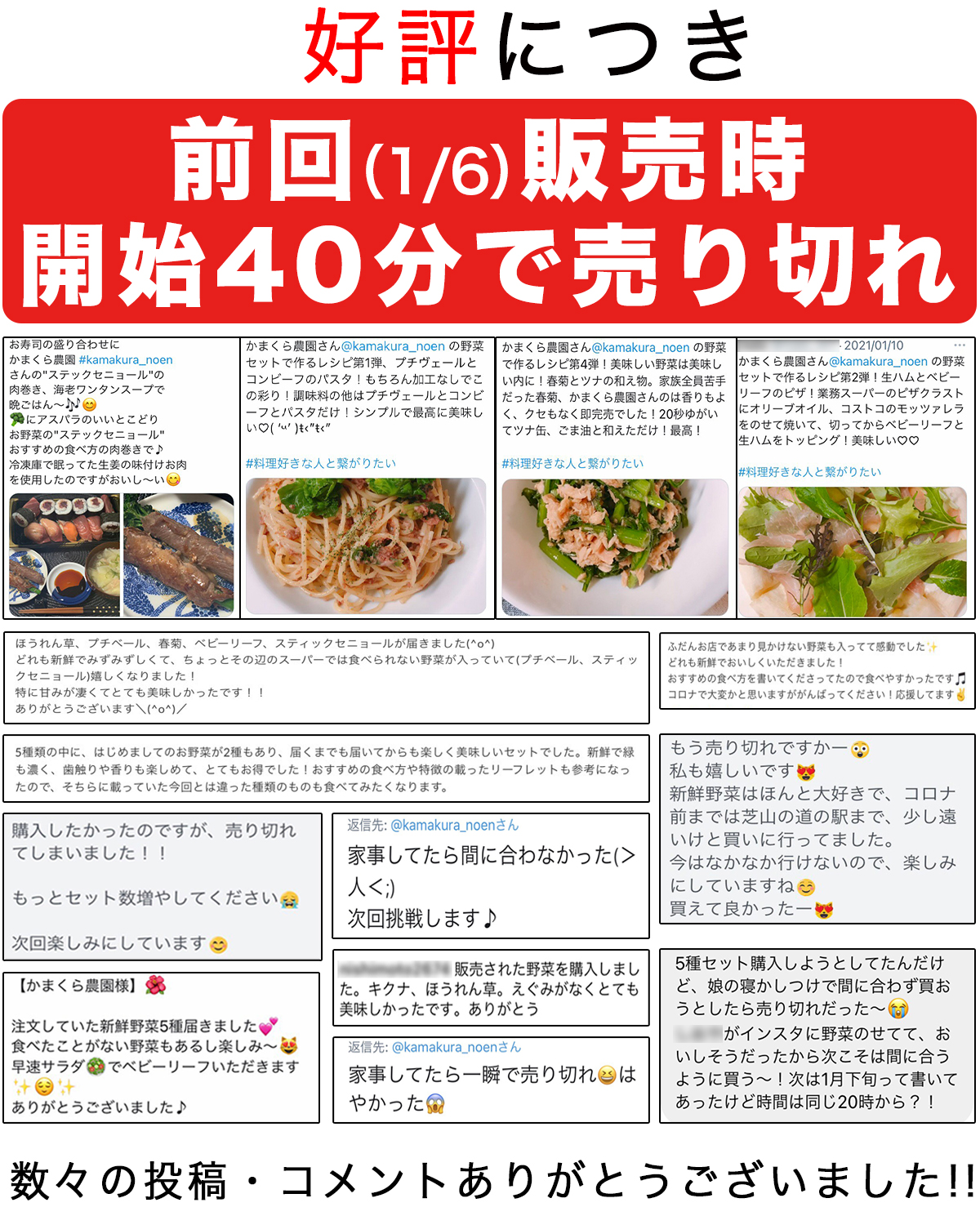 野菜セット